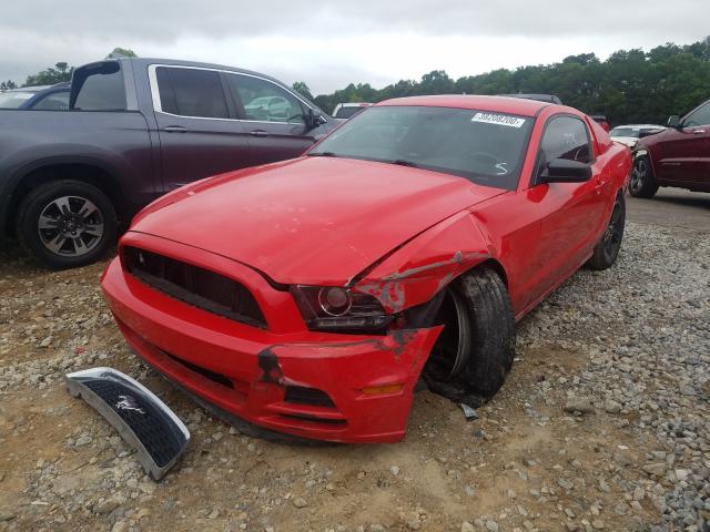 Photo 1 VIN: 1ZVBP8AM8E5216397 - FORD MUSTANG 