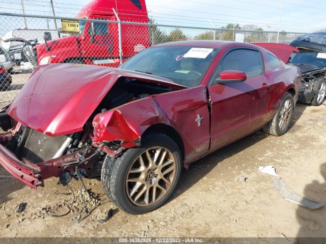 Photo 1 VIN: 1ZVBP8AM8E5230834 - FORD MUSTANG 