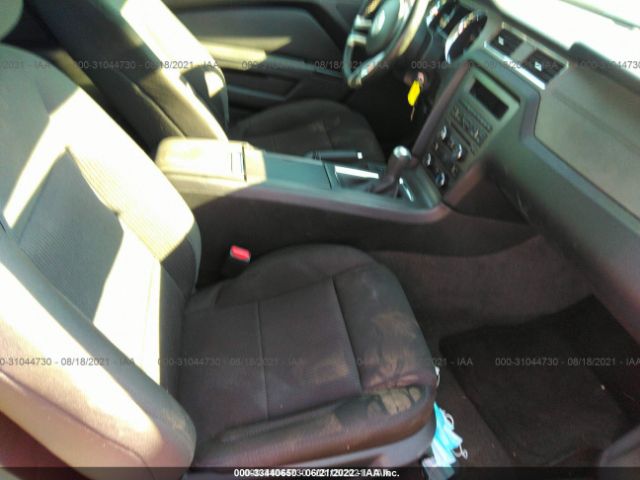 Photo 4 VIN: 1ZVBP8AM8E5251084 - FORD MUSTANG 