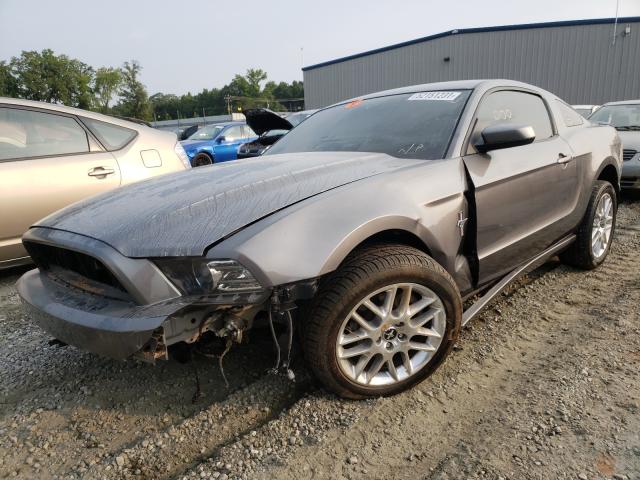 Photo 1 VIN: 1ZVBP8AM8E5251540 - FORD MUSTANG 