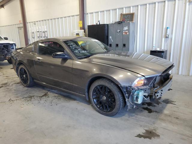 Photo 3 VIN: 1ZVBP8AM8E5269617 - FORD MUSTANG 