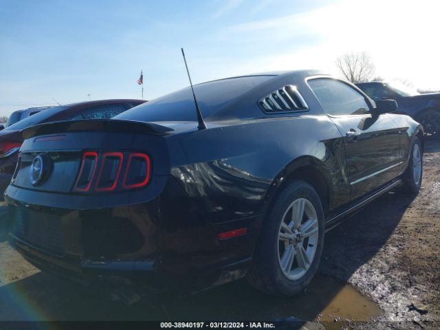 Photo 3 VIN: 1ZVBP8AM8E5283677 - FORD MUSTANG 