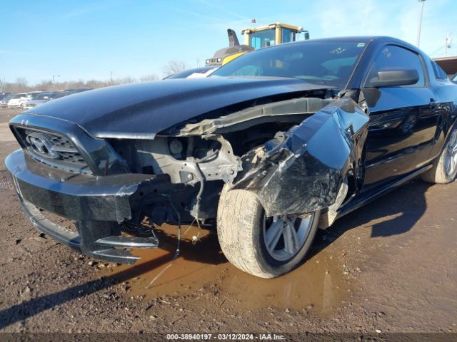 Photo 5 VIN: 1ZVBP8AM8E5283677 - FORD MUSTANG 