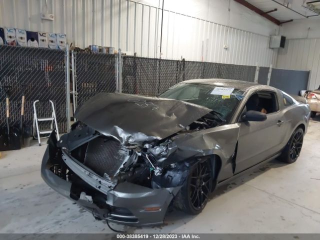 Photo 1 VIN: 1ZVBP8AM8E5290287 - FORD MUSTANG 