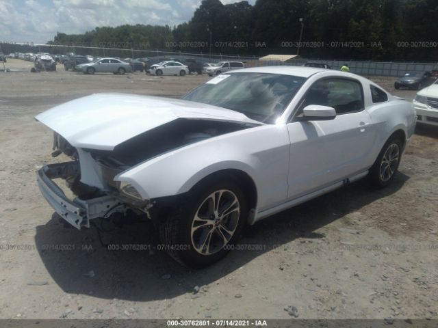 Photo 1 VIN: 1ZVBP8AM8E5292055 - FORD MUSTANG 