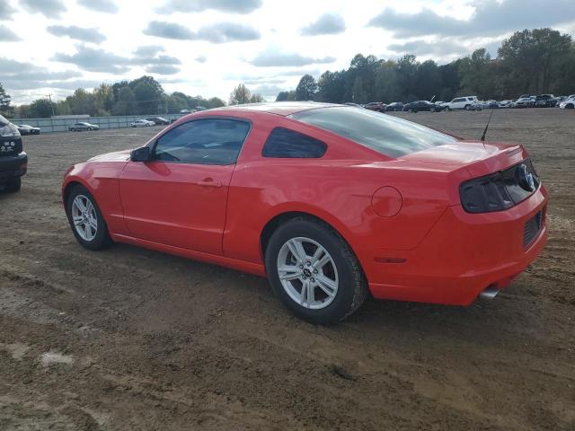 Photo 1 VIN: 1ZVBP8AM8E5300252 - FORD MUSTANG 