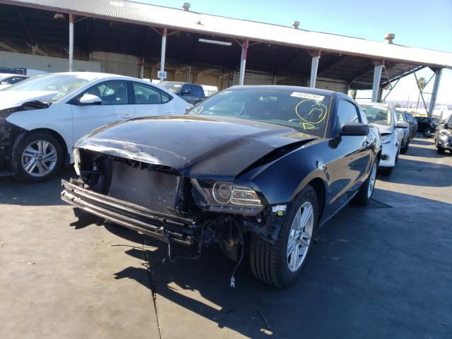 Photo 1 VIN: 1ZVBP8AM8E5300302 - FORD MUSTANG 