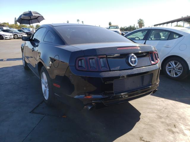 Photo 2 VIN: 1ZVBP8AM8E5300302 - FORD MUSTANG 