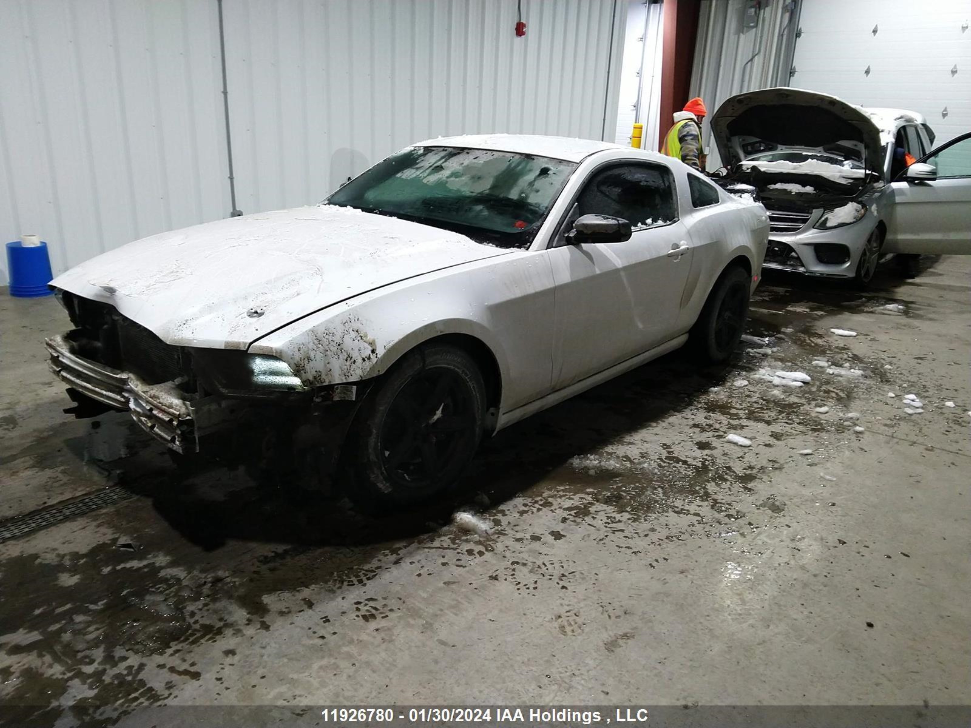 Photo 1 VIN: 1ZVBP8AM8E5302924 - FORD MUSTANG 