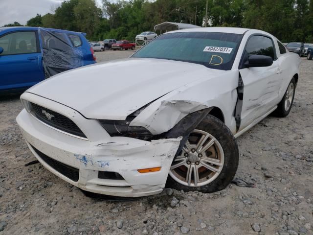 Photo 1 VIN: 1ZVBP8AM8E5305743 - FORD MUSTANG 