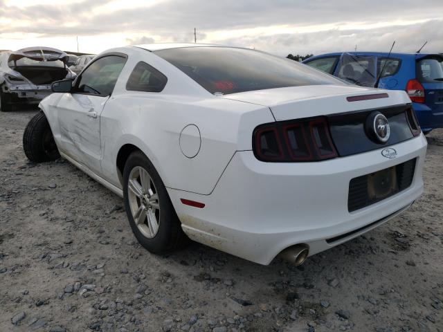 Photo 2 VIN: 1ZVBP8AM8E5305743 - FORD MUSTANG 