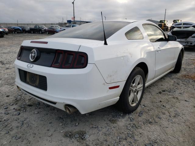 Photo 3 VIN: 1ZVBP8AM8E5305743 - FORD MUSTANG 