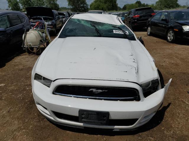 Photo 4 VIN: 1ZVBP8AM8E5310425 - FORD MUSTANG 