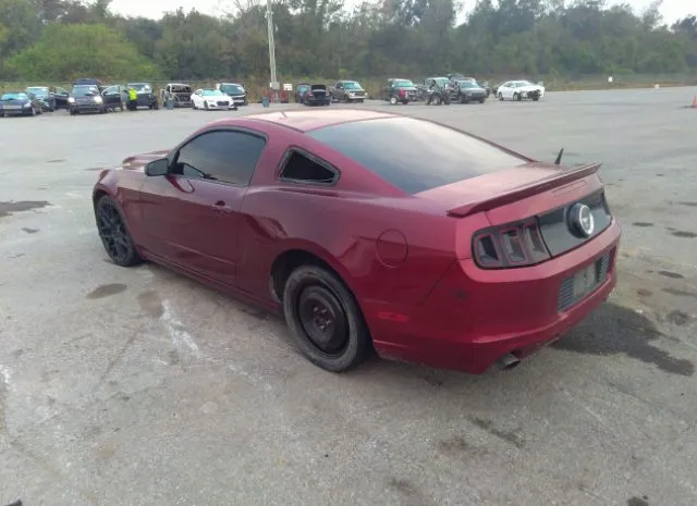 Photo 2 VIN: 1ZVBP8AM8E5311381 - FORD MUSTANG 