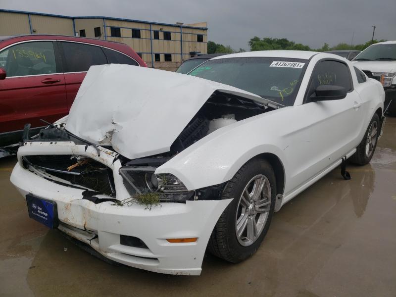 Photo 1 VIN: 1ZVBP8AM8E5320145 - FORD MUSTANG 