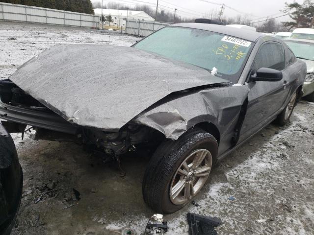 Photo 1 VIN: 1ZVBP8AM8E5322025 - FORD MUSTANG 