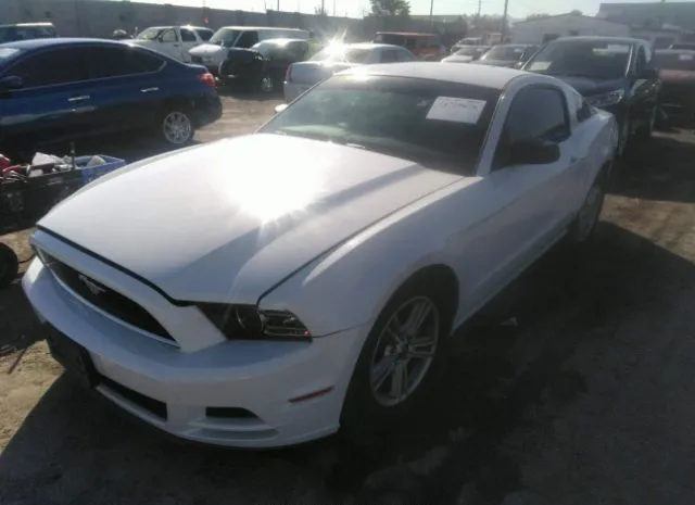 Photo 1 VIN: 1ZVBP8AM8E5327841 - FORD MUSTANG 