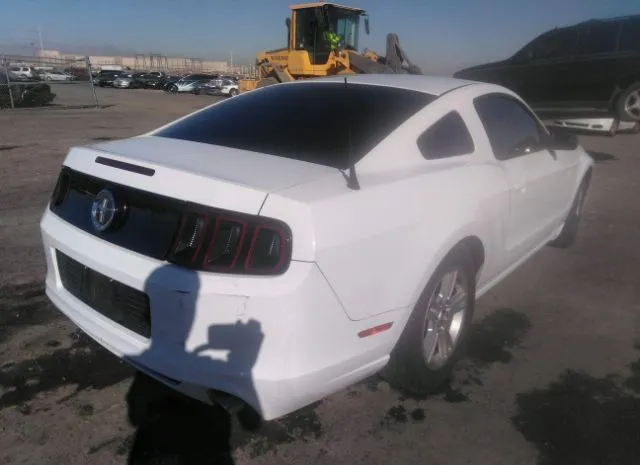 Photo 3 VIN: 1ZVBP8AM8E5327841 - FORD MUSTANG 