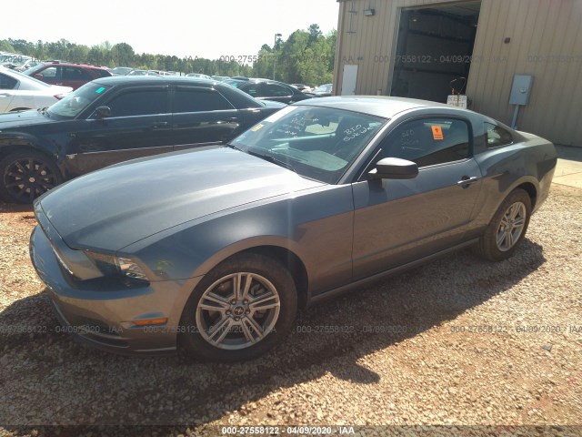 Photo 1 VIN: 1ZVBP8AM8E5330352 - FORD MUSTANG 