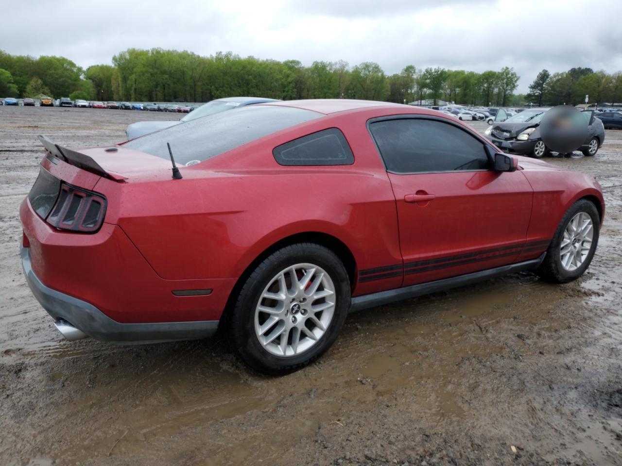 Photo 2 VIN: 1ZVBP8AM9B5101626 - FORD MUSTANG 