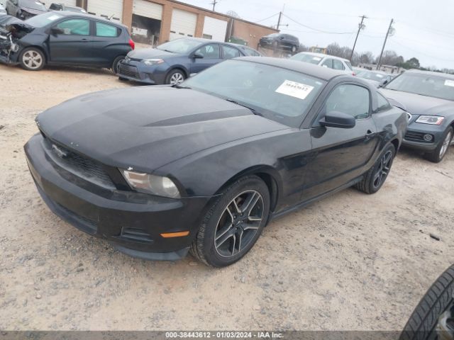 Photo 1 VIN: 1ZVBP8AM9B5102050 - FORD MUSTANG 