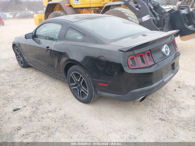 Photo 2 VIN: 1ZVBP8AM9B5102050 - FORD MUSTANG 