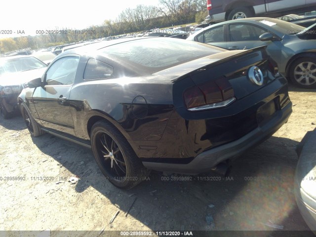 Photo 2 VIN: 1ZVBP8AM9B5135369 - FORD MUSTANG 