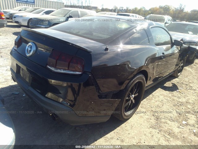 Photo 3 VIN: 1ZVBP8AM9B5135369 - FORD MUSTANG 