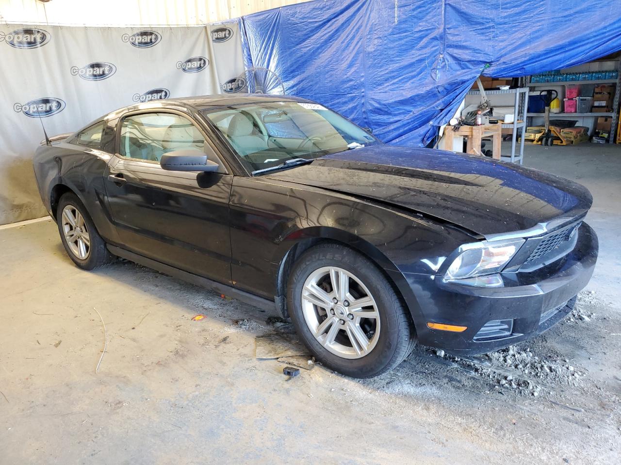 Photo 3 VIN: 1ZVBP8AM9B5137865 - FORD MUSTANG 