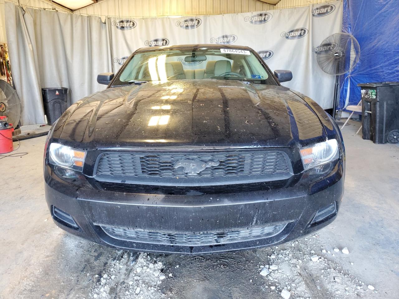 Photo 4 VIN: 1ZVBP8AM9B5137865 - FORD MUSTANG 