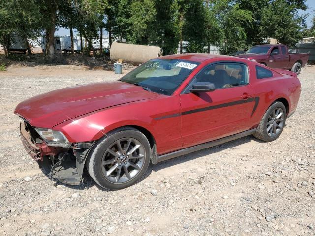 Photo 0 VIN: 1ZVBP8AM9B5156125 - FORD MUSTANG 