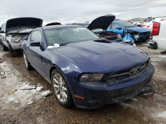 Photo 0 VIN: 1ZVBP8AM9B5156352 - FORD MUSTANG 