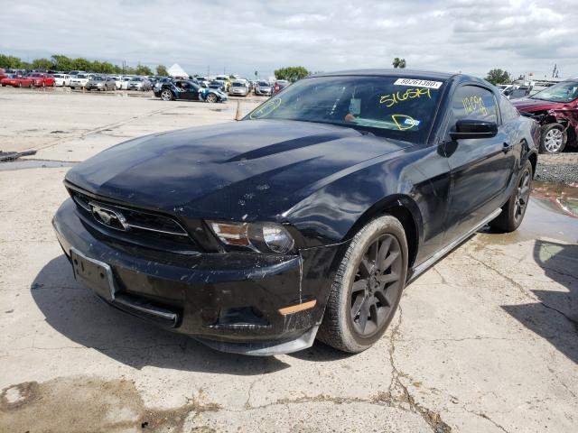 Photo 1 VIN: 1ZVBP8AM9B5165195 - FORD MUSTANG 