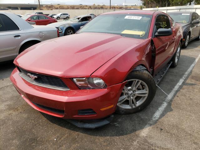 Photo 1 VIN: 1ZVBP8AM9C5245274 - FORD MUSTANG 