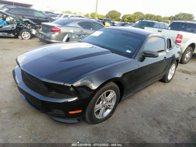 Photo 1 VIN: 1ZVBP8AM9C5260499 - FORD MUSTANG 