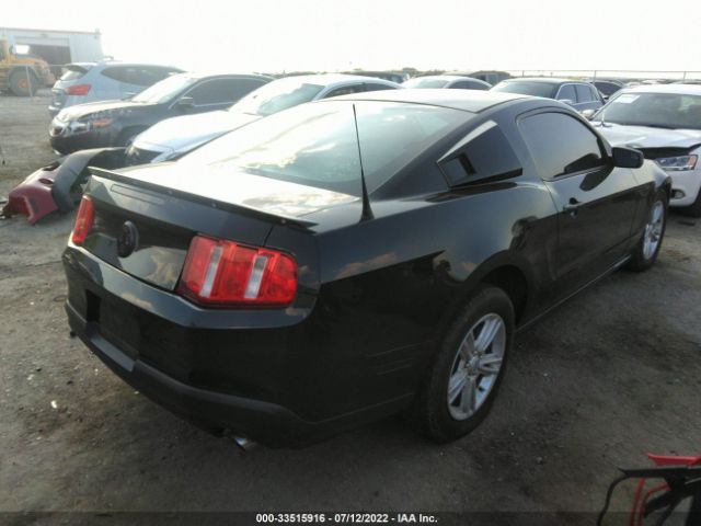 Photo 3 VIN: 1ZVBP8AM9C5260499 - FORD MUSTANG 