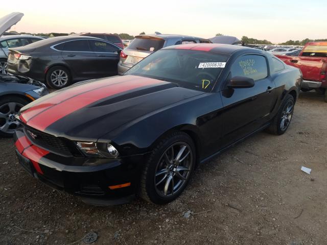 Photo 1 VIN: 1ZVBP8AM9C5272040 - FORD MUSTANG 