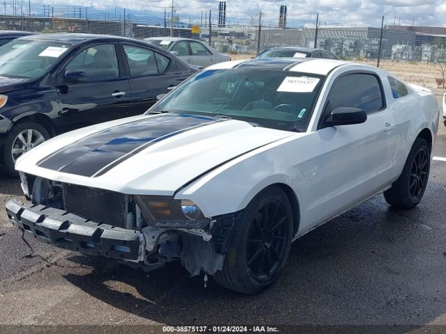 Photo 1 VIN: 1ZVBP8AM9C5276203 - FORD MUSTANG 