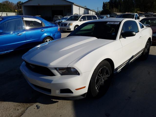 Photo 1 VIN: 1ZVBP8AM9C5280798 - FORD MUSTANG 