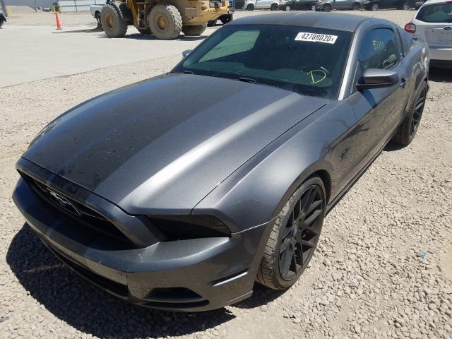 Photo 1 VIN: 1ZVBP8AM9D5207920 - FORD MUSTANG 