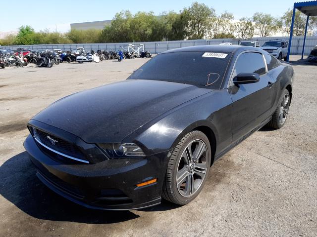 Photo 1 VIN: 1ZVBP8AM9D5213684 - FORD MUSTANG 