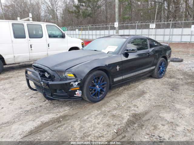 Photo 1 VIN: 1ZVBP8AM9D5220294 - FORD MUSTANG 