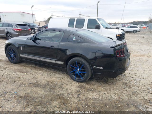 Photo 2 VIN: 1ZVBP8AM9D5220294 - FORD MUSTANG 