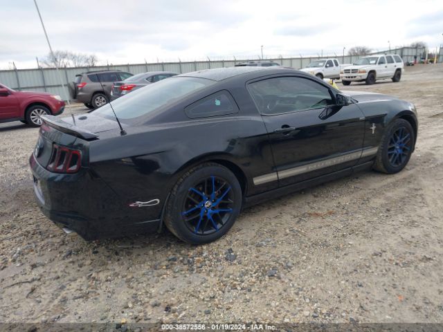 Photo 3 VIN: 1ZVBP8AM9D5220294 - FORD MUSTANG 