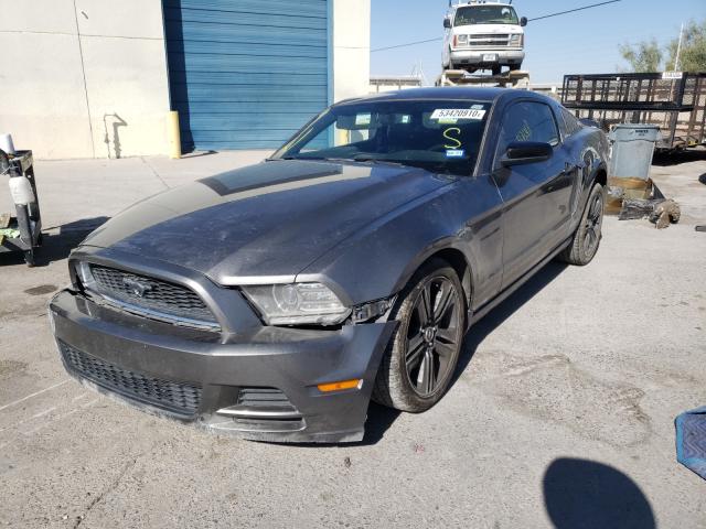 Photo 1 VIN: 1ZVBP8AM9D5236303 - FORD MUSTANG 