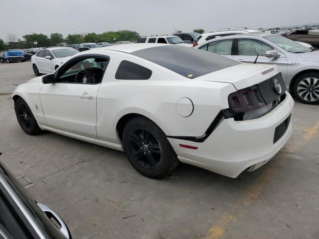 Photo 1 VIN: 1ZVBP8AM9D5241081 - FORD MUSTANG 