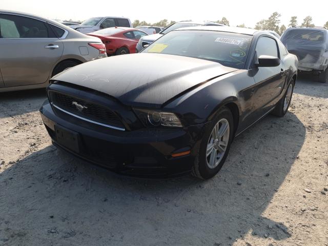 Photo 1 VIN: 1ZVBP8AM9D5243297 - FORD MUSTANG 