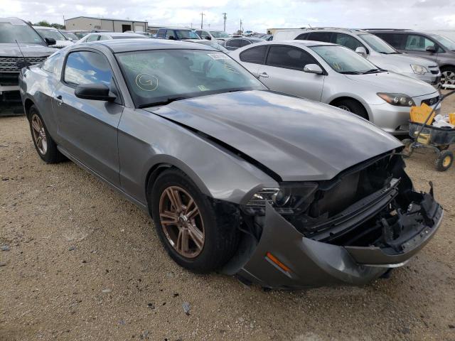 Photo 0 VIN: 1ZVBP8AM9D5274209 - FORD MUSTANG 