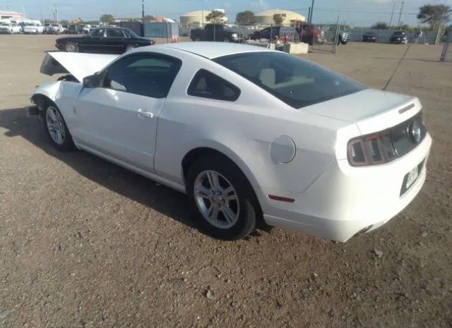 Photo 2 VIN: 1ZVBP8AM9D5277529 - FORD MUSTANG 