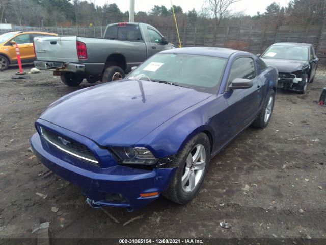 Photo 1 VIN: 1ZVBP8AM9D5278082 - FORD MUSTANG 